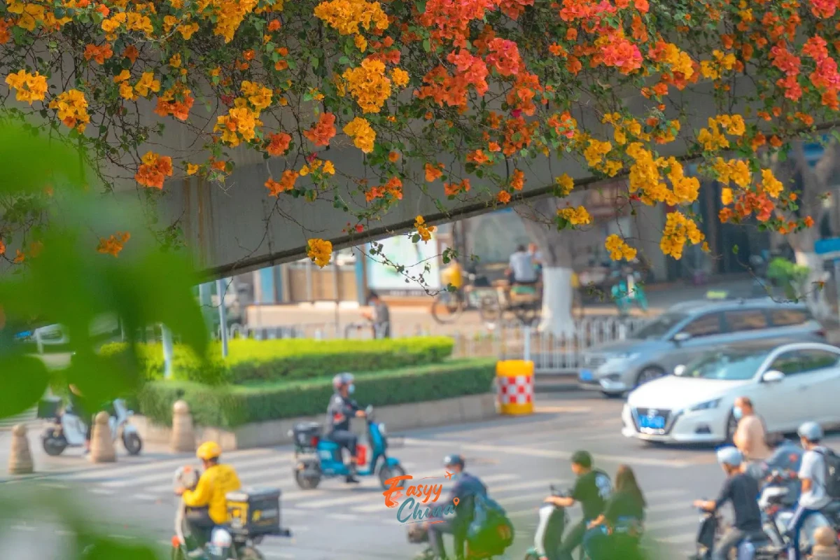 Du lịch Quảng Châu vào mùa thu