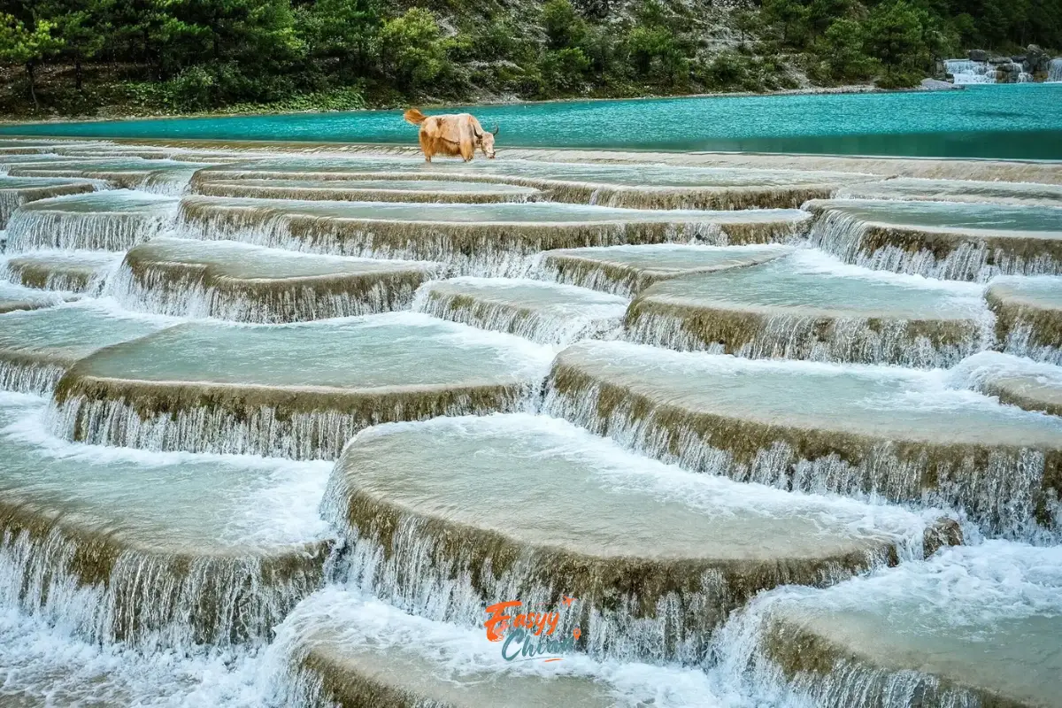 Lam Nguyệt Cốc địa điểm du lịch Lệ Giang