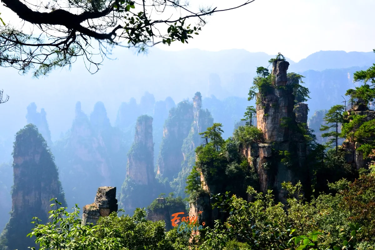 Kinh nghiệm du lịch Trung Quốc đi Trương Gia Giới