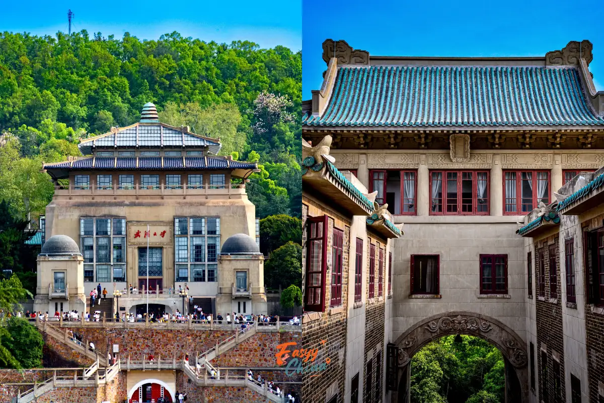 Đại học Vũ Hán địa điểm du lịch Vũ Hán