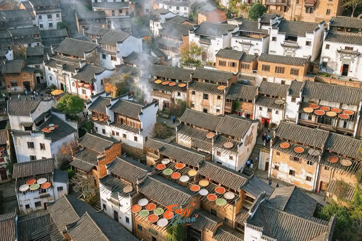 Kinh nghiệm du lịch Vụ Nguyên mùa hoa cải vàng rực rỡ