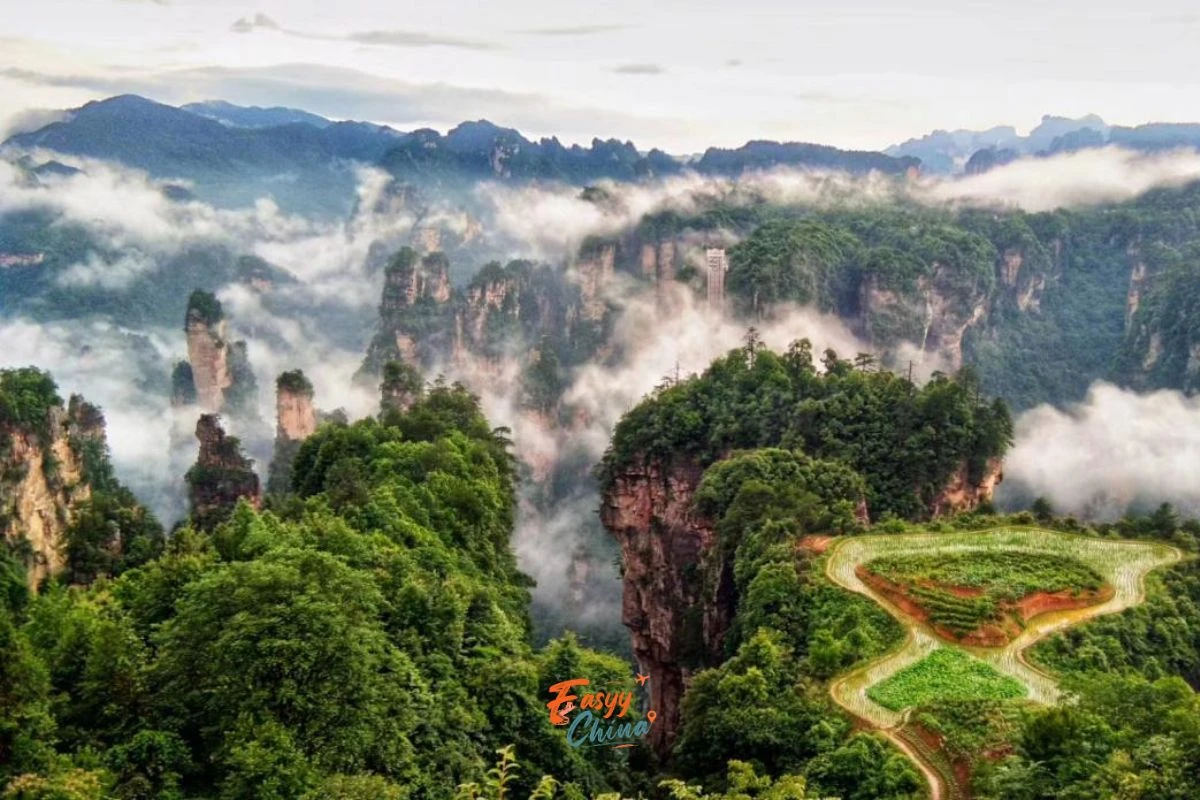 Vũ Lăng Nguyên - quần thể núi đá kỳ vĩ của Trương Gia Giới