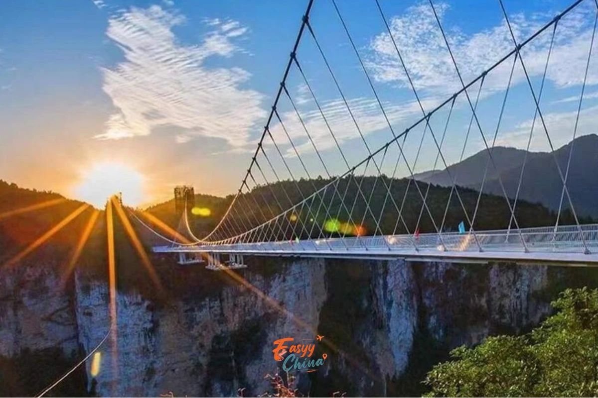 Cầu kính Trương Gia Giới điểm check-in giữa Đại Hiệp Cốc
